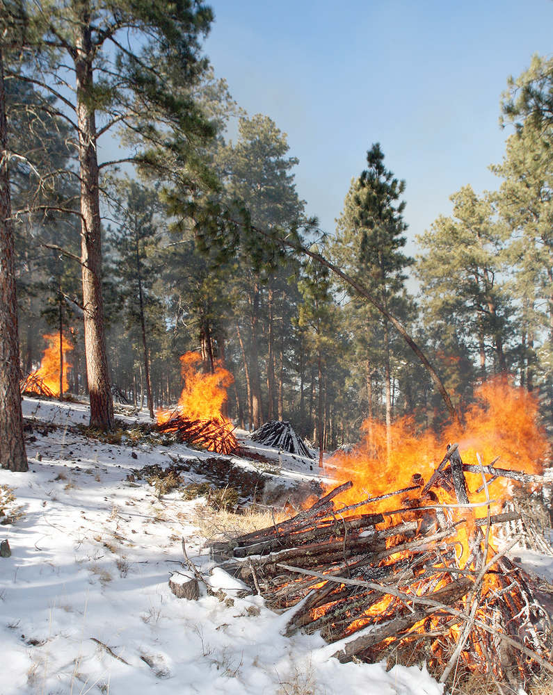 Fire Crews Burn Piles Across The Black Hills National Forest Sundance Times